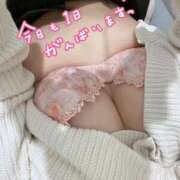 ヒメ日記 2025/04/04 11:38 投稿 中トロ 女の子市場