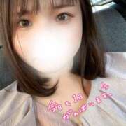 ヒメ日記 2025/04/04 13:08 投稿 中トロ 女の子市場