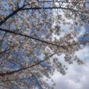 ヒメ日記 2026/04/09 19:42 投稿 しおり スピード梅田店