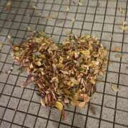 ヒメ日記 2025/04/17 20:12 投稿 さゆり WHITE（金沢）