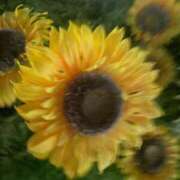 ヒメ日記 2025/09/02 20:18 投稿 さゆり WHITE（金沢）