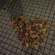 ヒメ日記 2025/09/26 20:12 投稿 さゆり WHITE（金沢）