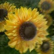 ヒメ日記 2025/11/22 21:49 投稿 さゆり WHITE（金沢）