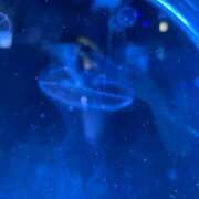 ヒメ日記 2026/02/02 22:08 投稿 さゆり CLUB ROOKIE（ルーキー）