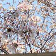 ヒメ日記 2025/04/07 19:14 投稿 まき スピード日本橋店