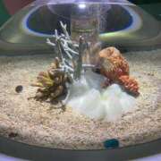 ヒメ日記 2025/12/19 08:47 投稿 まき スピード日本橋店