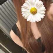 ヒメ日記 2025/04/30 08:39 投稿 しずく sweet kiss