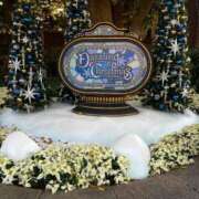 ヒメ日記 2025/08/11 15:59 投稿 しずく sweet kiss