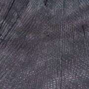 ヒメ日記 2025/11/18 07:49 投稿 しずく sweet kiss