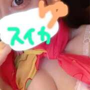 ヒメ日記 2025/05/16 12:15 投稿 ゆゆ スイカ