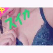 ヒメ日記 2025/06/07 13:15 投稿 ゆゆ スイカ