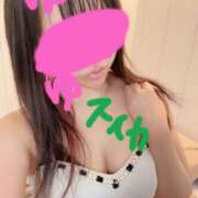 ヒメ日記 2026/09/19 20:31 投稿 ゆゆ スイカ