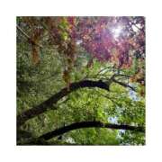 ヒメ日記 2025/05/11 16:53 投稿 えりす 横浜しこたまクリニック