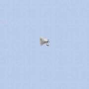 ヒメ日記 2025/08/19 17:23 投稿 えりす 横浜しこたまクリニック