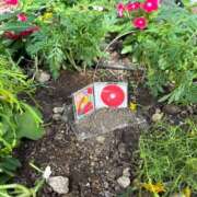 ヒメ日記 2025/11/14 18:43 投稿 えりす 横浜しこたまクリニック