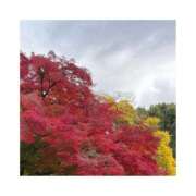 ヒメ日記 2025/11/28 20:23 投稿 えりす 横浜しこたまクリニック