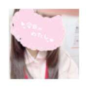 ヒメ日記 2026/02/24 20:13 投稿 えりす 横浜しこたまクリニック