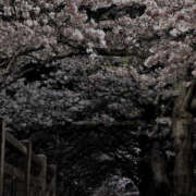 ヒメ日記 2025/04/19 20:23 投稿 ふゆ【爆エロミニマム美少女】 セクシャル