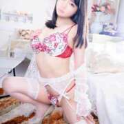 ヒメ日記 2025/03/25 05:42 投稿 みなと 桃李（とうり）