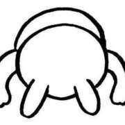 ヒメ日記 2025/05/12 16:55 投稿 みなと 桃李（とうり）