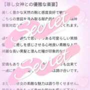ヒメ日記 2025/05/18 16:29 投稿 みなと 桃李（とうり）