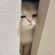 ヒメ日記 2026/02/08 01:32 投稿 まい 若妻淫乱倶楽部