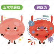 ヒメ日記 2026/01/13 19:01 投稿 まい 若妻淫乱倶楽部 古河店