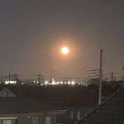 ヒメ日記 2026/02/03 19:17 投稿 まい 若妻淫乱倶楽部 久喜店