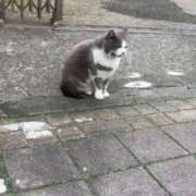 ヒメ日記 2026/03/31 17:19 投稿 まい 若妻淫乱倶楽部 久喜店