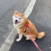 ヒメ日記 2025/04/28 12:15 投稿 みほ 性腺熟女100％（デリヘル市場）