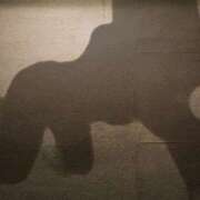 ヒメ日記 2025/03/20 01:01 投稿 飛鳥さん SA～Sanitatem Angelum～癒やしの天使