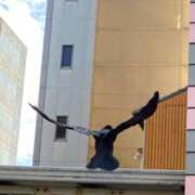 ヒメ日記 2025/04/05 03:11 投稿 飛鳥さん SA～Sanitatem Angelum～癒やしの天使