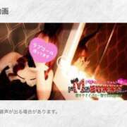 ヒメ日記 2025/06/03 15:25 投稿 ミコト【淫らな花には棘がある】 ドMなバニーちゃん和歌山店