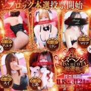 ヒメ日記 2025/11/22 15:44 投稿 ミコト【淫らな花には棘がある】 ドMなバニーちゃん和歌山店