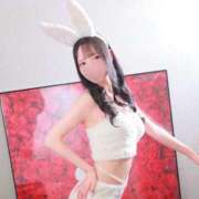 ミコト【淫らな花には棘がある】 new🤍 ドMなバニーちゃん和歌山店