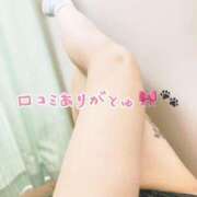 ヒメ日記 2025/04/02 19:02 投稿 たま メンヘラ専門デリヘル ゼロワン 横浜本店