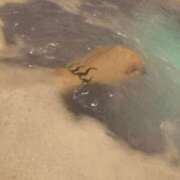 ヒメ日記 2025/04/12 07:02 投稿 たま メンヘラ専門デリヘル ゼロワン 横浜本店