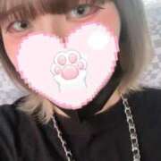 ヒメ日記 2025/05/21 03:02 投稿 たま メンヘラ専門デリヘル ゼロワン 横浜本店