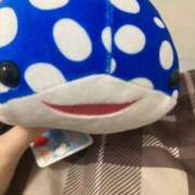 ヒメ日記 2025/08/19 07:32 投稿 たま メンヘラ専門デリヘル ゼロワン 横浜本店