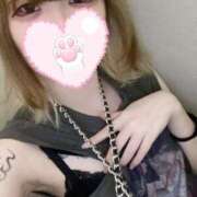 ヒメ日記 2025/08/20 00:02 投稿 たま メンヘラ専門デリヘル ゼロワン 横浜本店