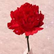 ヒメ日記 2025/05/04 15:01 投稿 ひかる シークレットタッチ