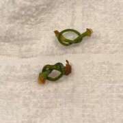 ヒメ日記 2025/08/03 22:31 投稿 ひかる シークレットタッチ