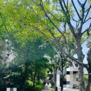 ヒメ日記 2025/05/03 12:07 投稿 あいす 熟女家 京橋店