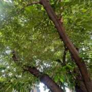 ヒメ日記 2025/05/05 15:36 投稿 あいす 熟女家 京橋店