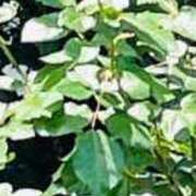 ヒメ日記 2025/05/28 13:40 投稿 あいす 熟女家 京橋店