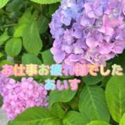 ヒメ日記 2025/06/02 19:36 投稿 あいす 熟女家 京橋店