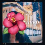 ヒメ日記 2025/06/11 22:15 投稿 あいす 熟女家 京橋店