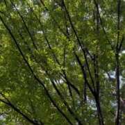 ヒメ日記 2025/07/01 10:06 投稿 あいす 熟女家 京橋店