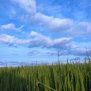 ヒメ日記 2025/07/16 00:36 投稿 あいす 熟女家 京橋店