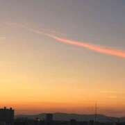 ヒメ日記 2025/07/28 19:46 投稿 あいす 熟女家 京橋店